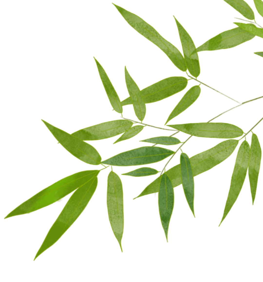 清明至，春意濃(圖5)