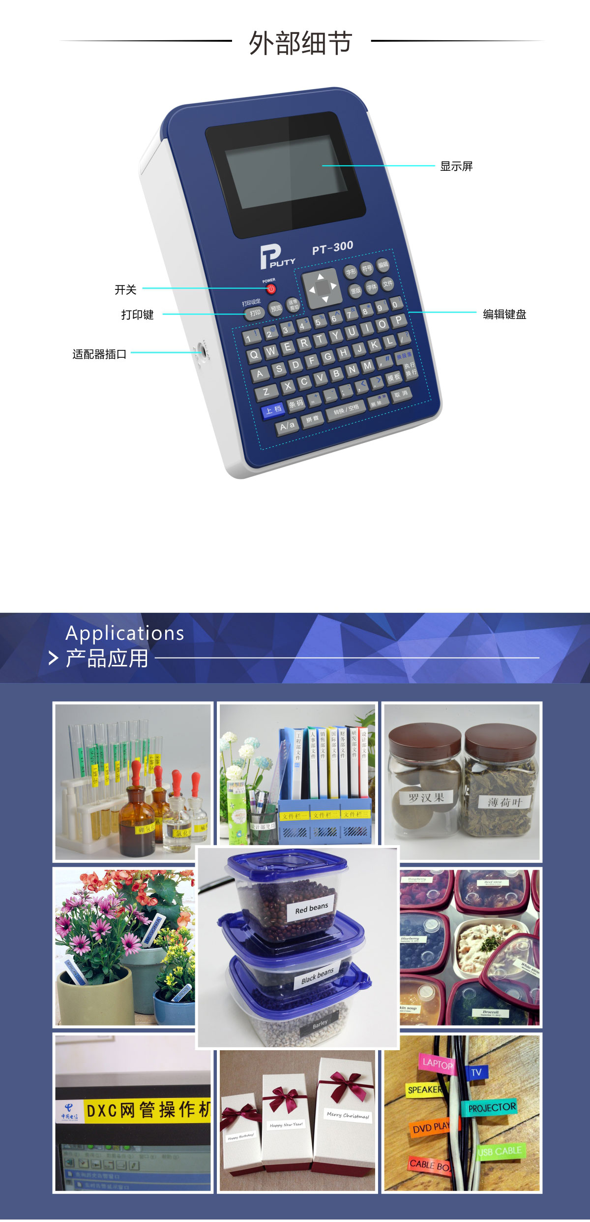 PT-300(圖6)